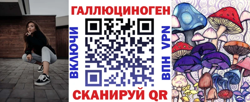 наркошоп  Кинель  Псилоцибиновые грибы Psilocybe 